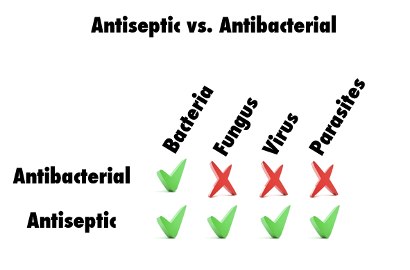 Antiseptic vs. Antibacterial